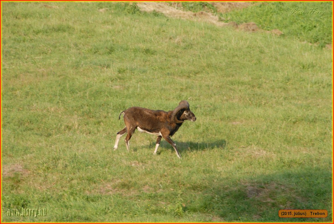 (2015.julius)Trebon-077.jpg