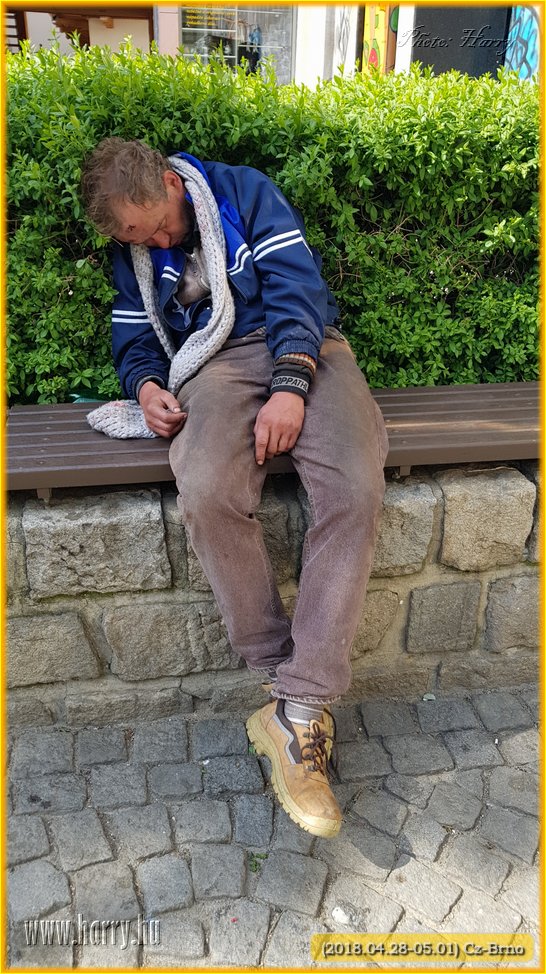 (2018.04.28-05.01)Cz-Brno-045.jpg