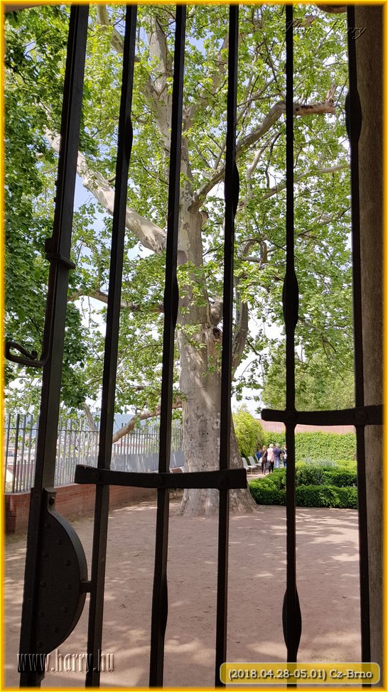 (2018.04.28-05.01)Cz-Brno-182.jpg