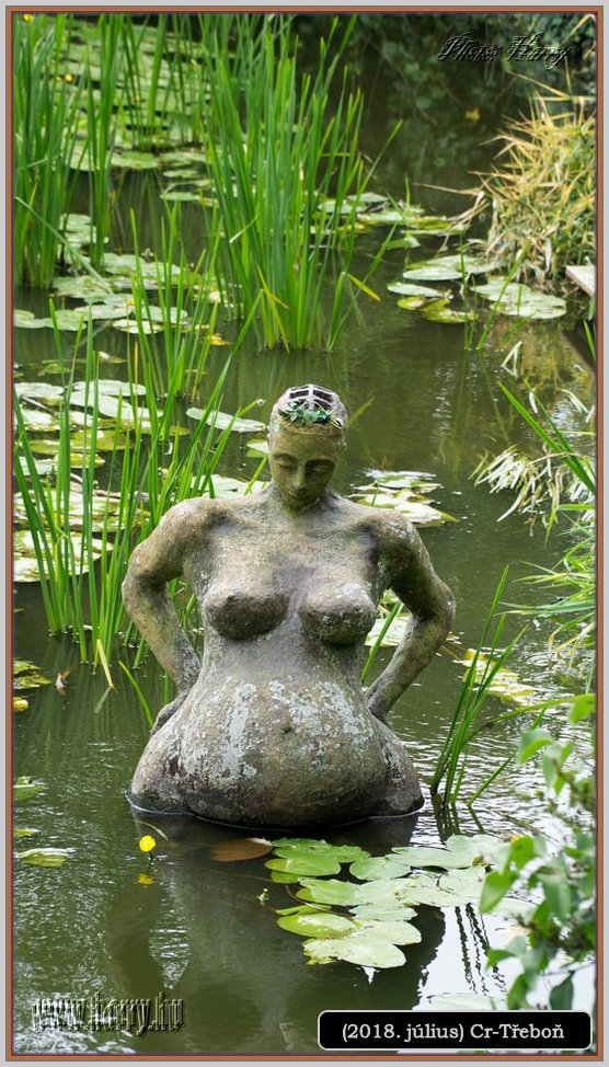 (2018.julius)Cz-Trebon-25.jpg