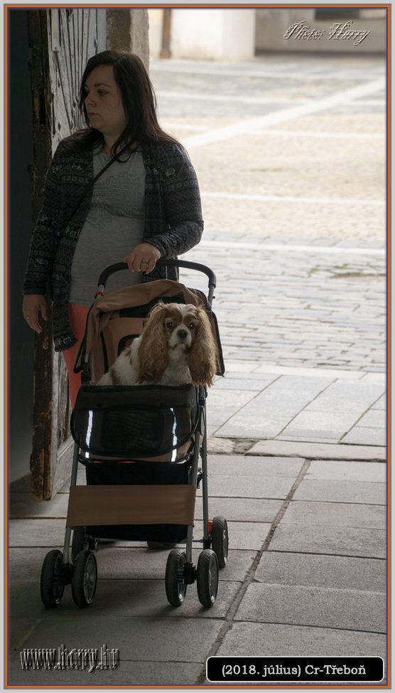 (2018.julius)Cz-Trebon-32.jpg