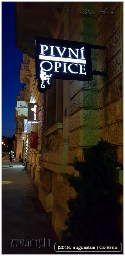 (2018.augusztus)Cz-Brno-077.jpg