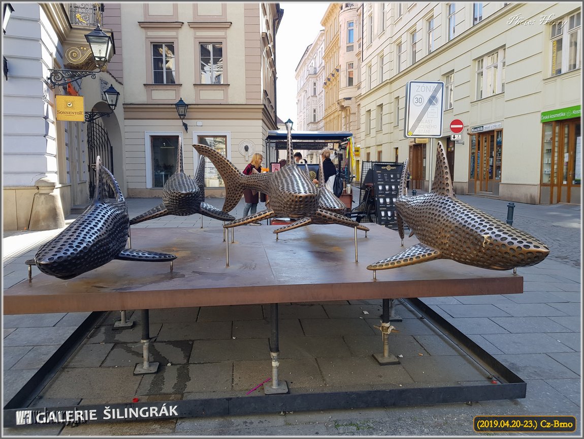 (2019.04.20-23)-Cz-Brno-266.jpg
