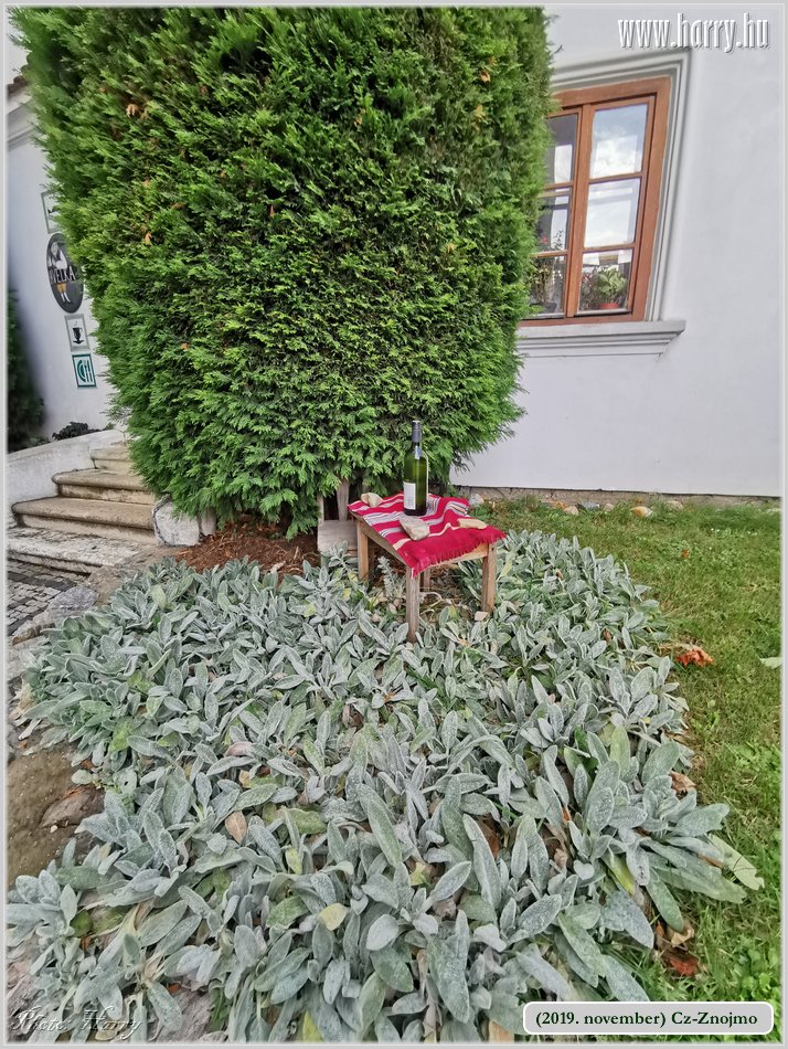 2019.november-Cz-Znojmo-14.jpg