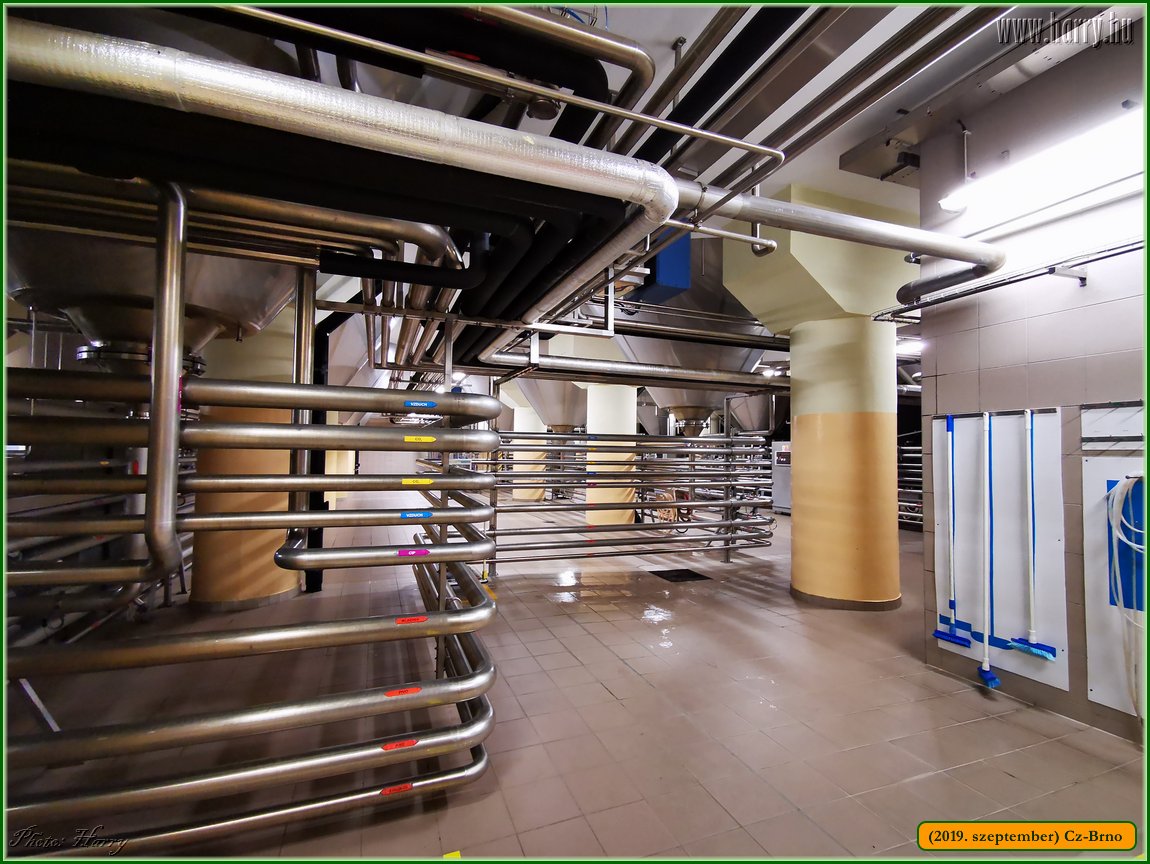 2019.szeptember-Cz-Brno-142.jpg