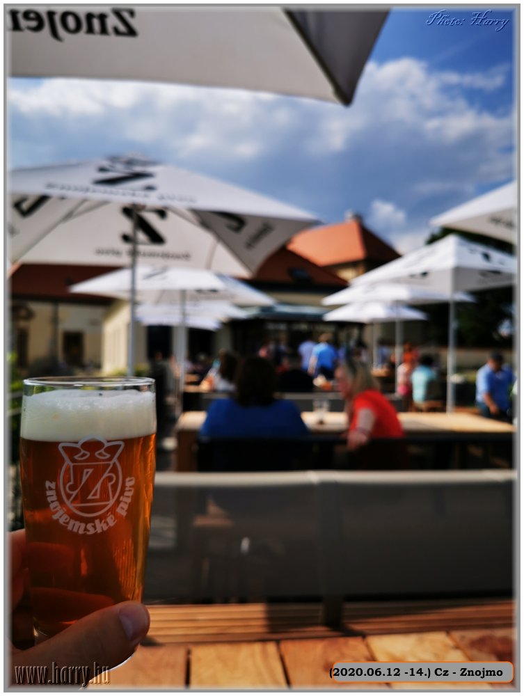 (2020.06.12-14.)Cz-Znojmo-050.jpg
