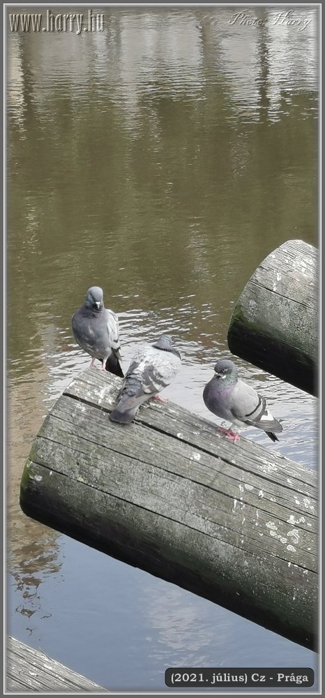 2021.julius-Cz-Praga-182.jpg