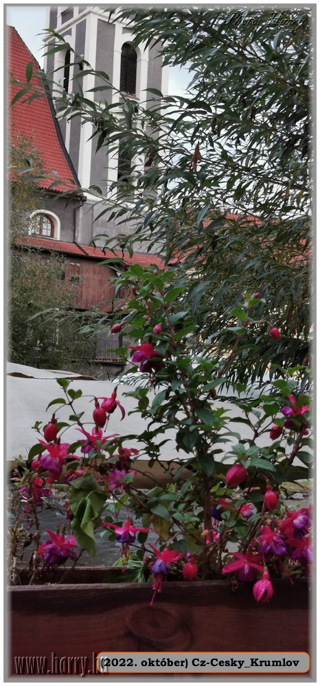 2022.10-Cz-Cesky_Krumlov-123.jpg