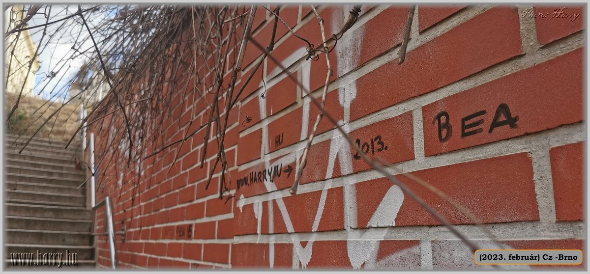 2023.02-Cz-Brno-070.jpg