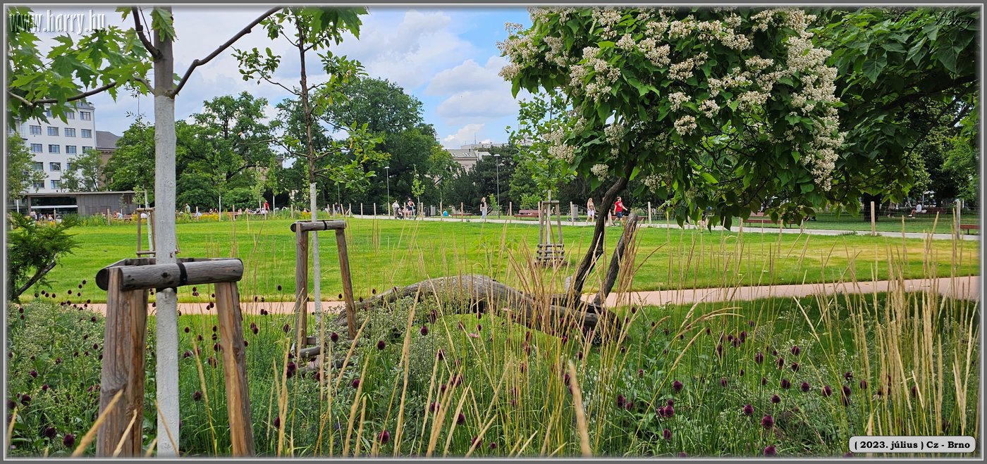 2023.07-Cz-Brno-035.jpg