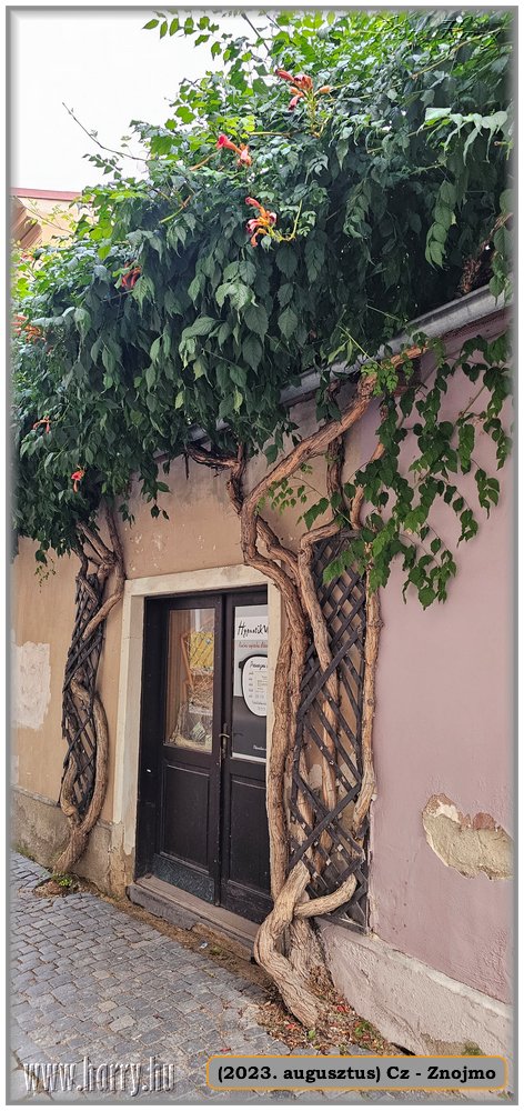 2023.08-Cz-Znojmo-098.jpg