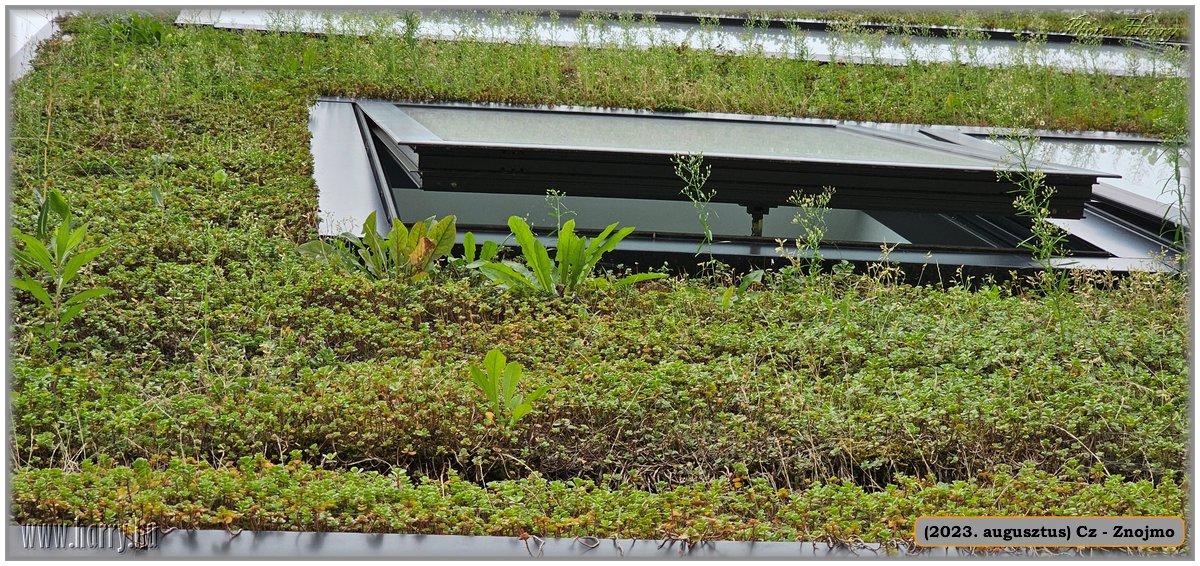 2023.08-Cz-Znojmo-193.jpg