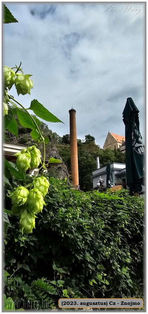 2023.08-Cz-Znojmo-208.jpg