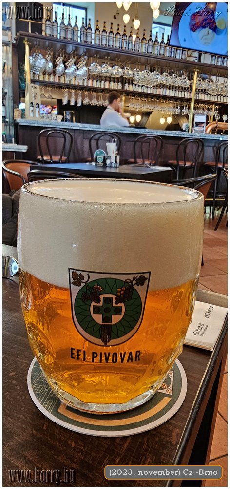 2023.11-Cz-Brno-02.jpg