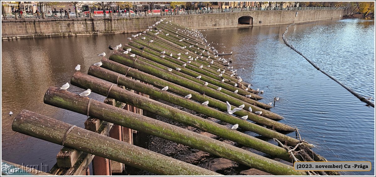 2023.11-Cz-Praga-305.jpg