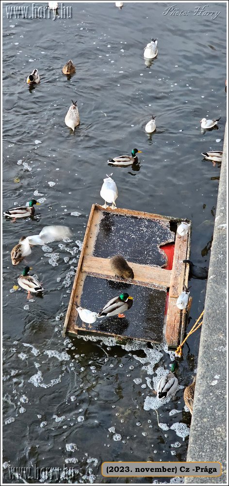 2023.11-Cz-Praga-313.jpg