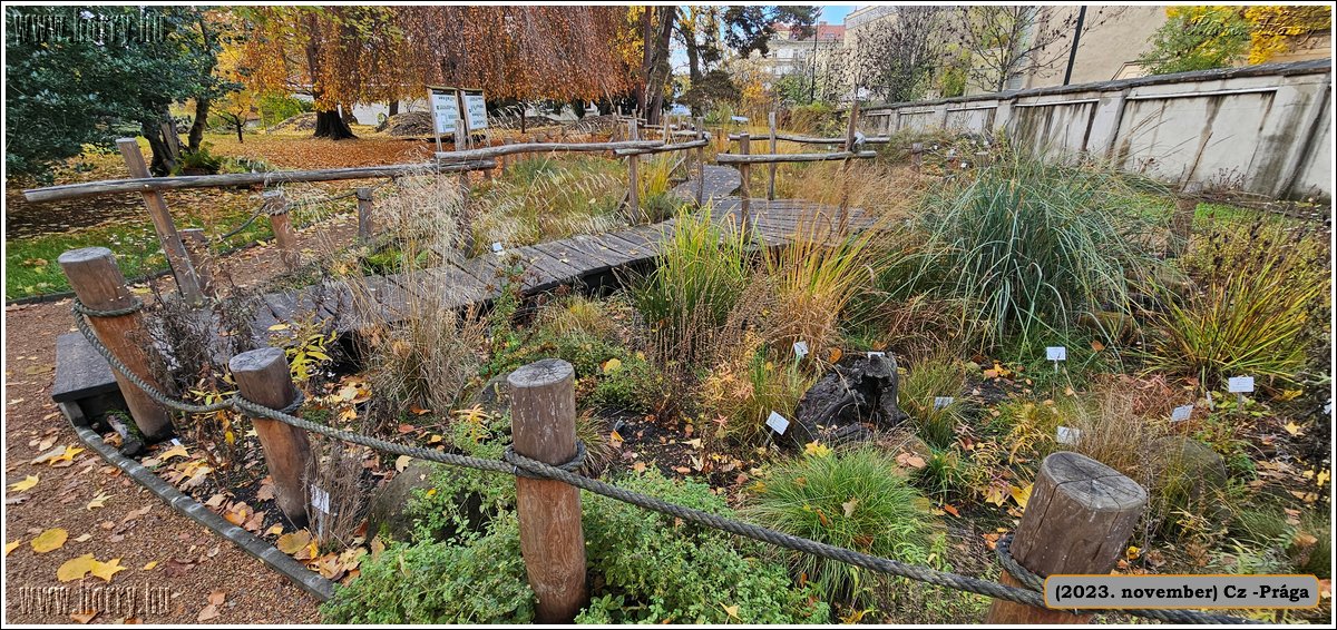 2023.11-Cz-Praga-348.jpg
