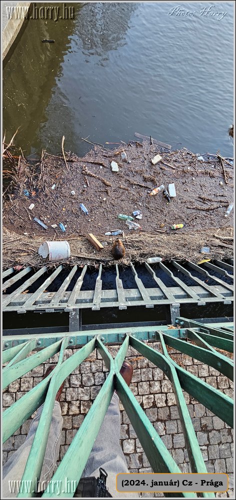 2024.01-Cz-Praga-145.jpg