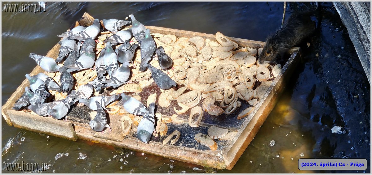 2024.04-Cz-Praga-206.jpg