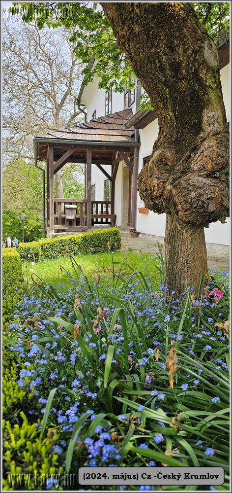 2024.05--Cz-Cesky_Krumlov-186.jpg