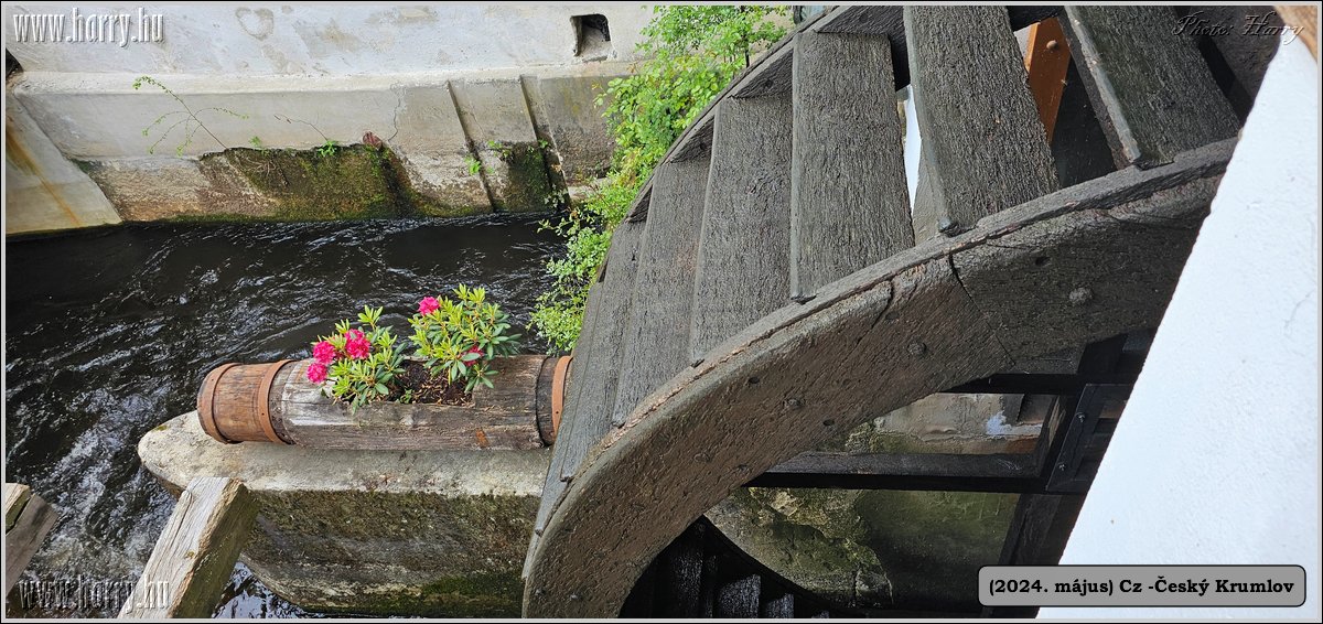 2024.05--Cz-Cesky_Krumlov-218.jpg