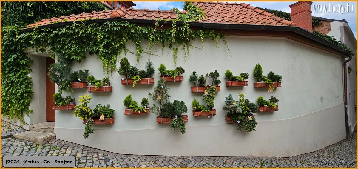 2024.06-Cz-Znojmo-024.jpg