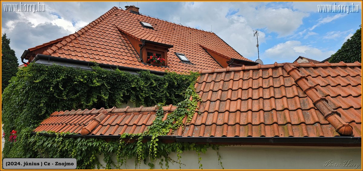 2024.06-Cz-Znojmo-031.jpg