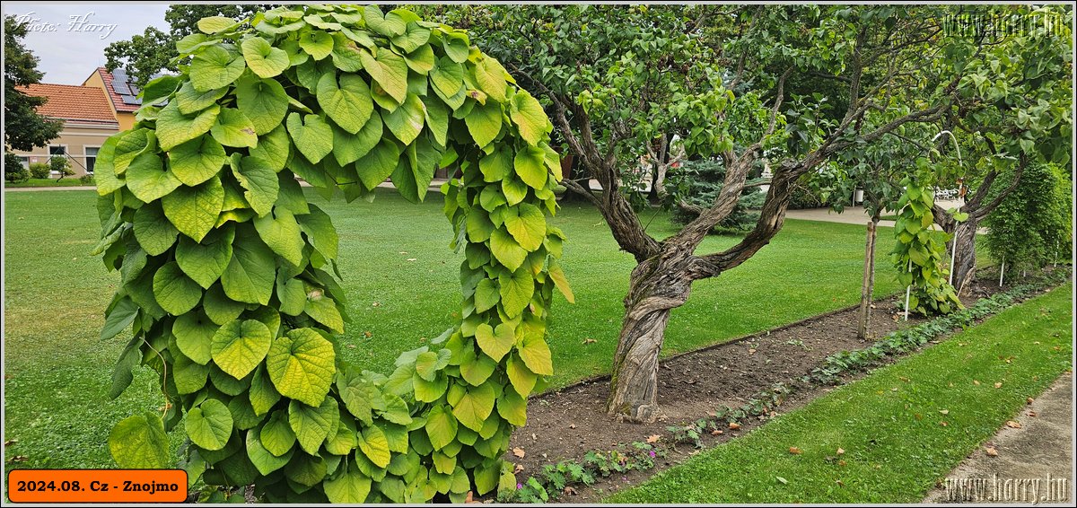 2024.08.-Cz-Znojmo-004.jpg