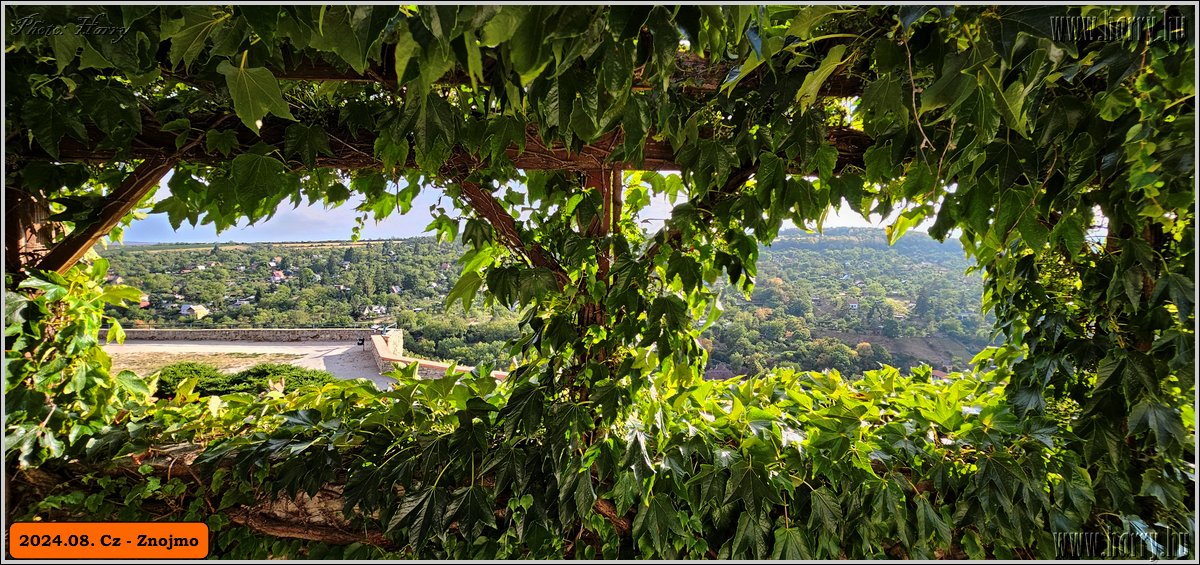 2024.08.-Cz-Znojmo-101.jpg