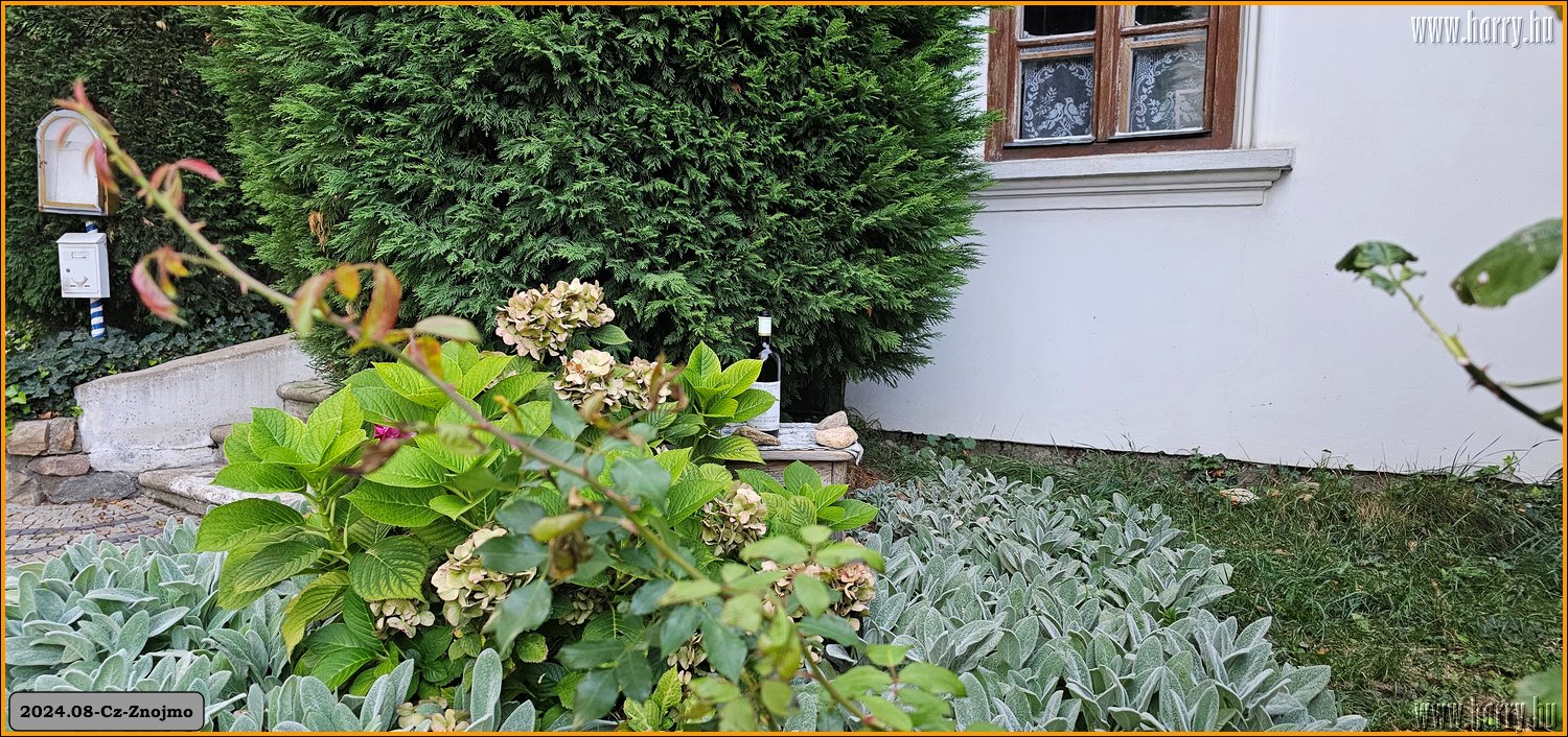 2024.09-Cz-Znojmo-051.jpg