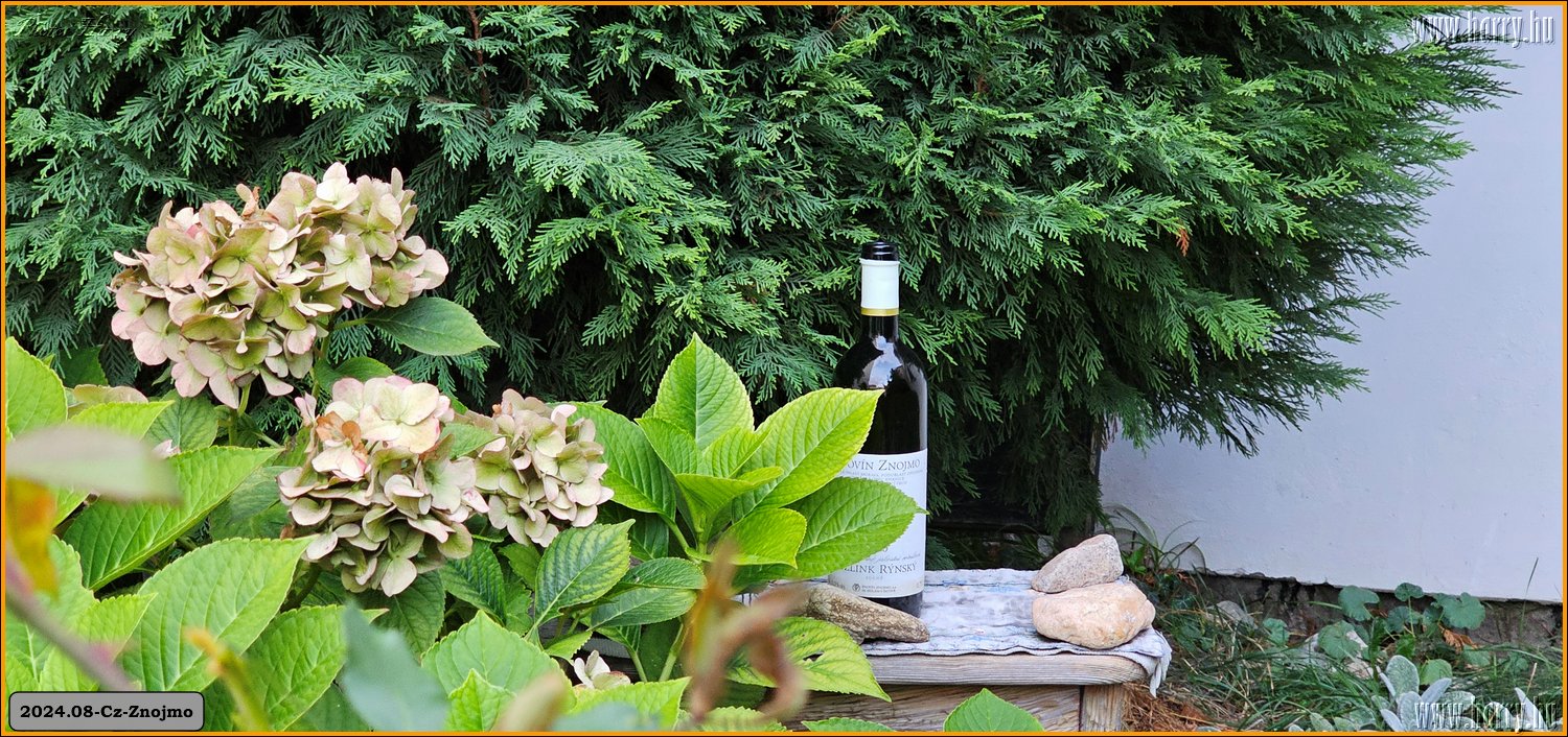 2024.09-Cz-Znojmo-052.jpg