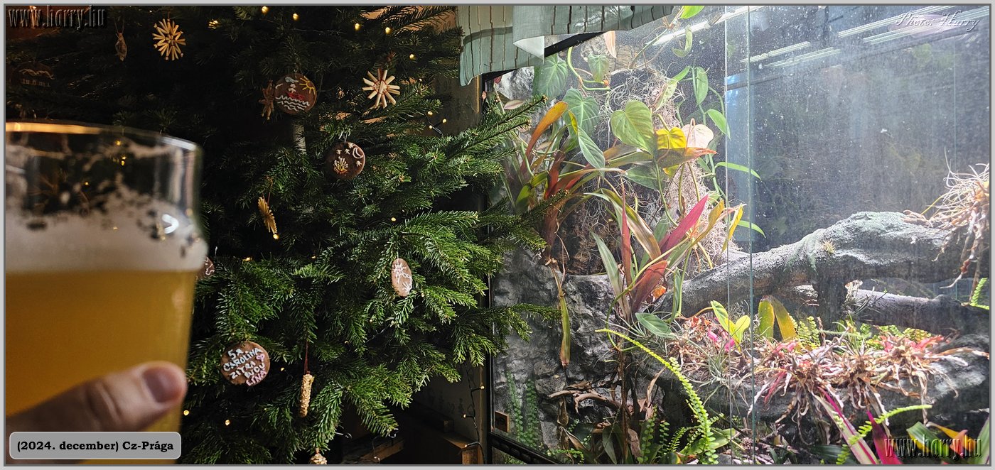 2024.12-Cz-Praga-124.jpg