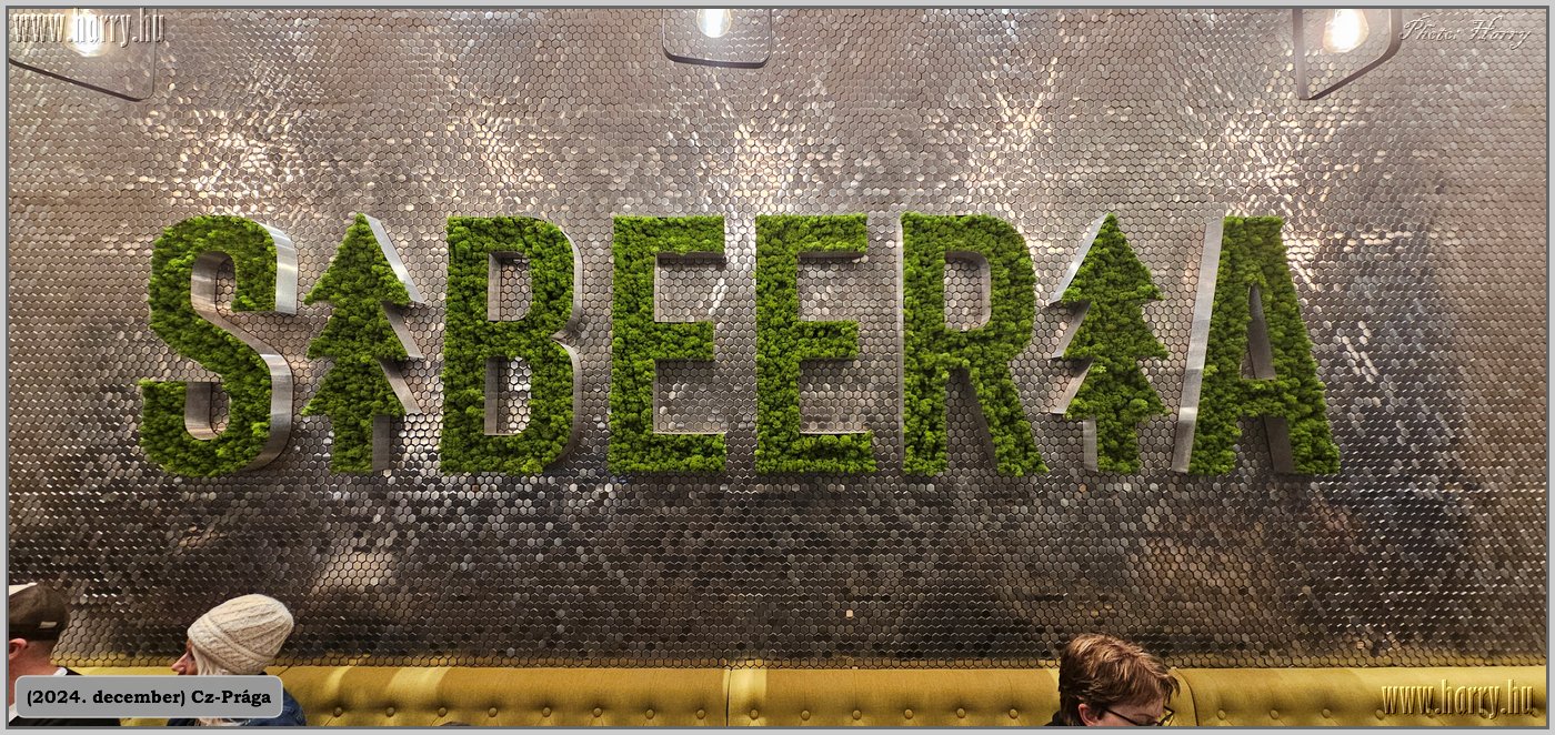 2024.12-Cz-Praga-268.jpg