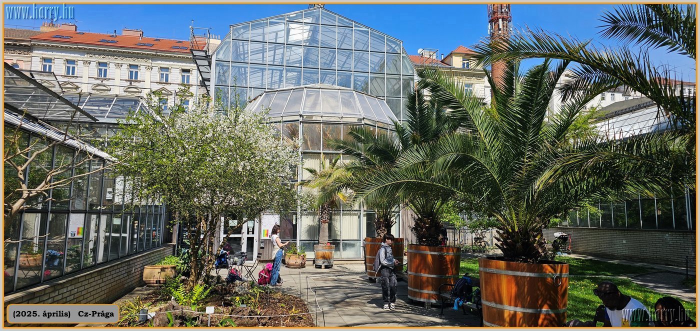 2025.04.-Cz-Praga-206.jpg