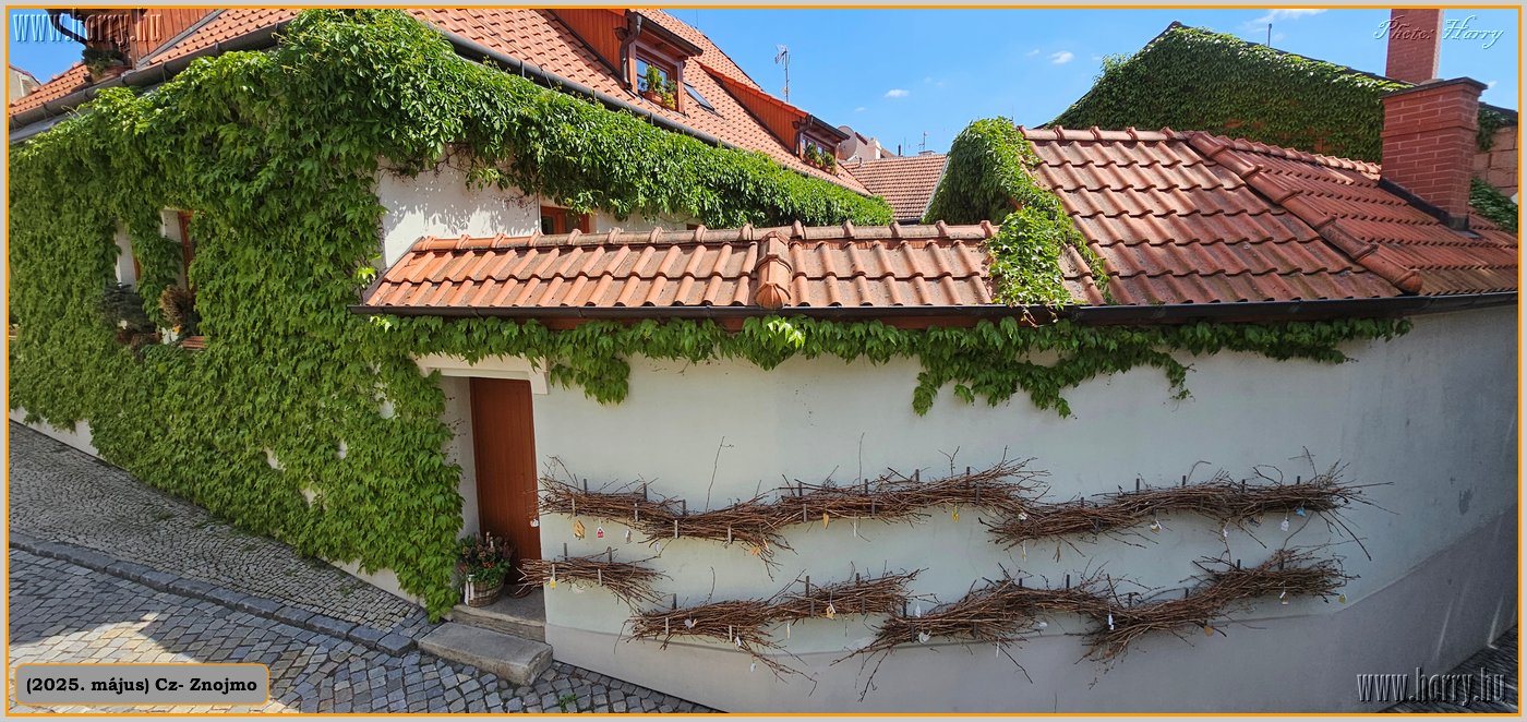 018-2025.05.-Cz-Znojmo.jpg
