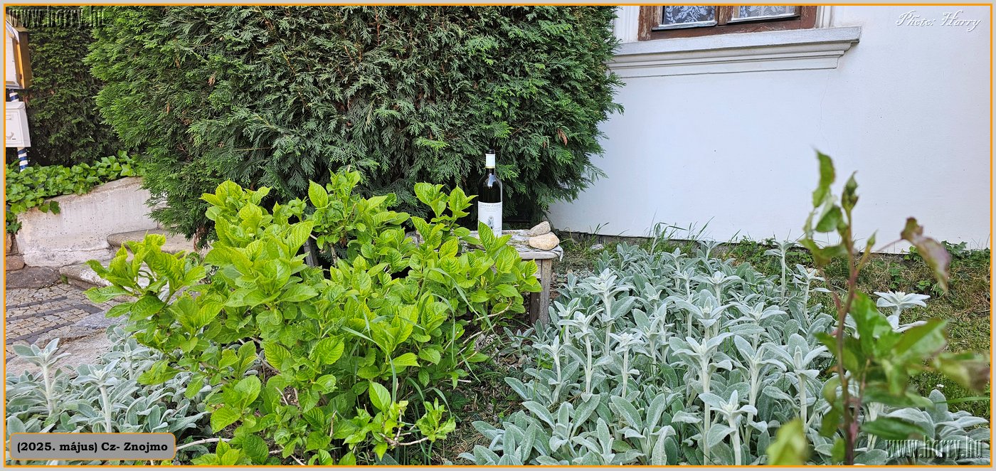 068-2025.05.-Cz-Znojmo.jpg