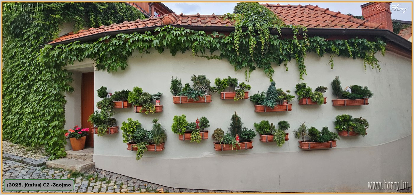 2025.06.-Cz-Znojmo-051.jpg