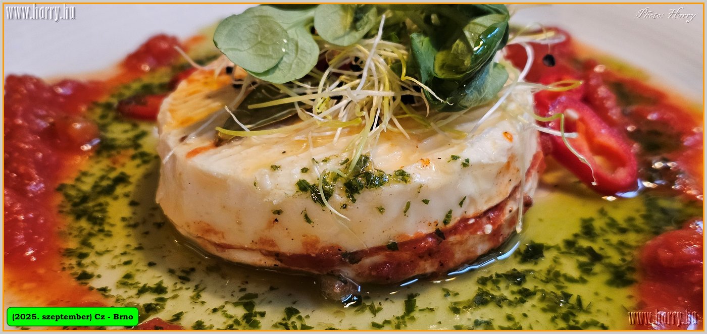 2025.09.-Cz-Brno-111.jpg