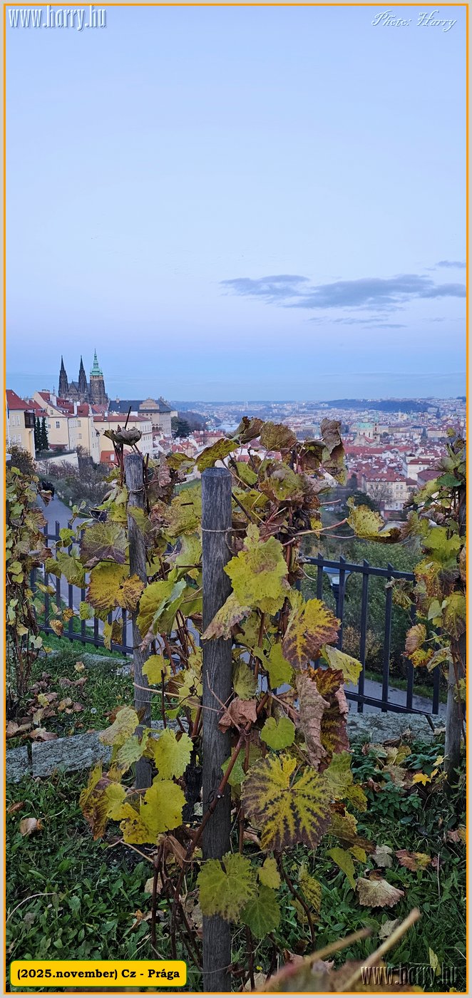 2025.11.-Cz-Praga-006.jpg