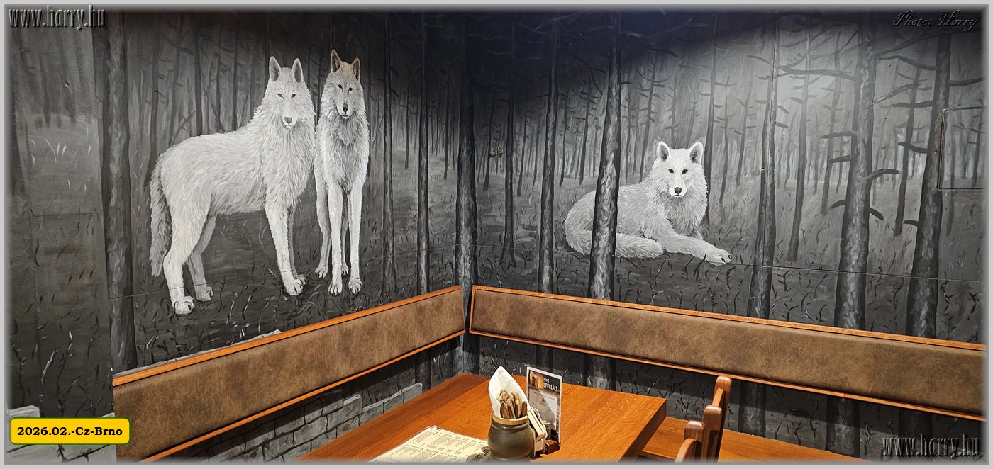 2026.02.-Cz-Brno-027.jpg