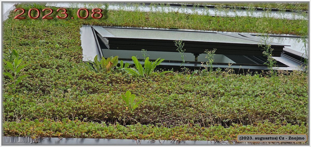 082-2023.08-Cz-Znojmo.jpg